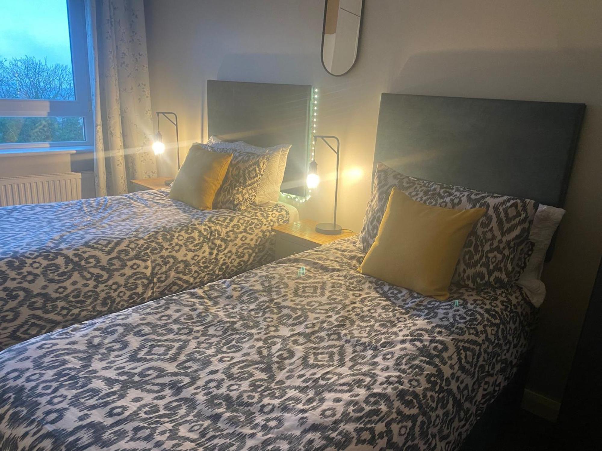 Hastings Apartments Extra Large Self Catering Apt Tourism Certified Free Parking Wifi Belfast Exteriör bild